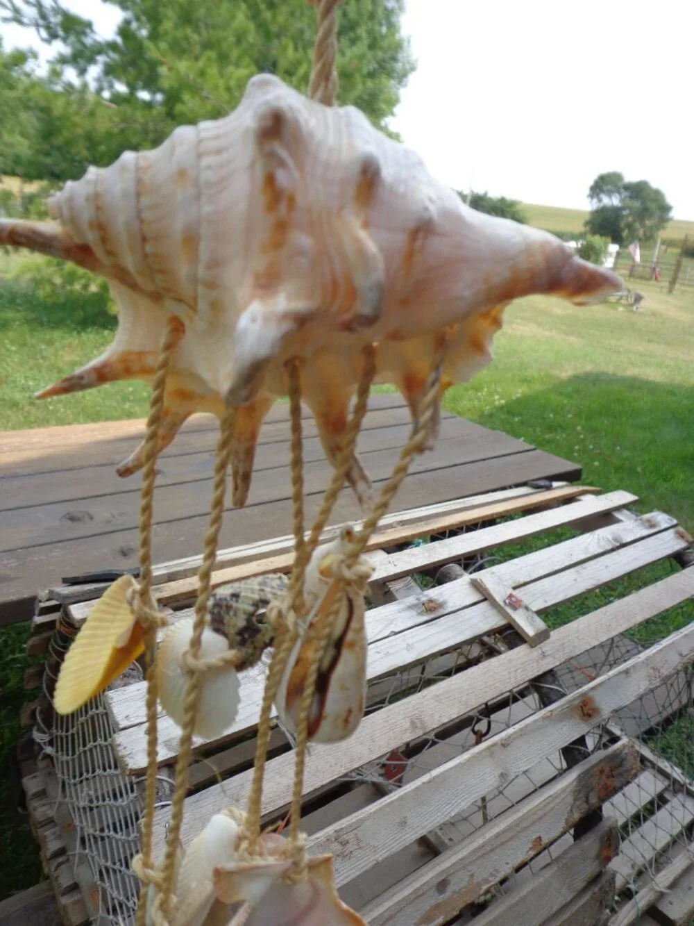 Sea Shells/Rope Wind Chime Nautical Coastal Authentic Various Shells 32